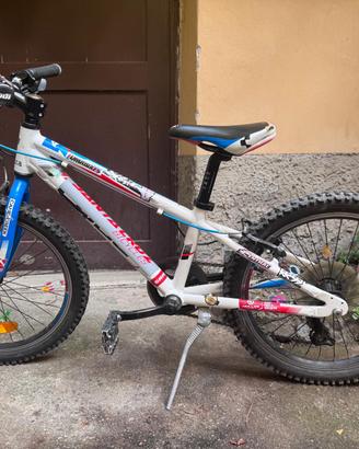 mtb bimbo cube acid 200 20"