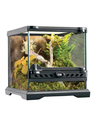 Terrario Exo Terra Glass Terrarium 20x20x20