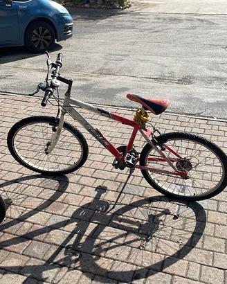 Bici bambino