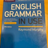 English grammar in use Murphy Cambridge