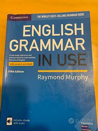 English grammar in use Murphy Cambridge