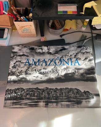 Amazônia