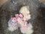 Immagine 4