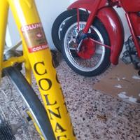 bicicletta vintage 