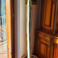cactus gigante 190cm