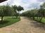 Immagine 27