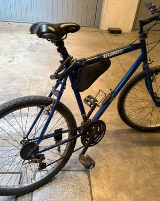 Mountain bike