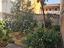 Immagine 24