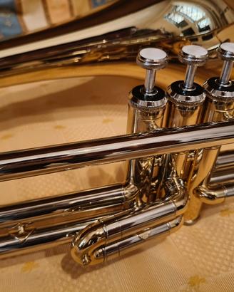 trombone a pistoni bach vt501