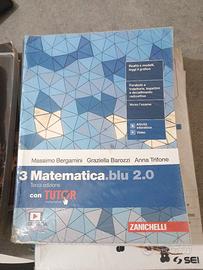 matematica blu 3