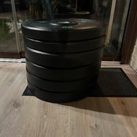 Pacco pesi dischi gommati domyos, diametro di 50mm