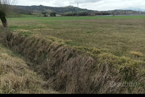 Piccolo terrano agricolo
