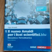 il nuovo amaldi per i licei scientifici.blu 1