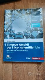 il nuovo amaldi per i licei scientifici.blu 1