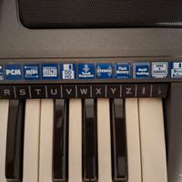 Tastiera Farfisa G7 + supporto richiudibile