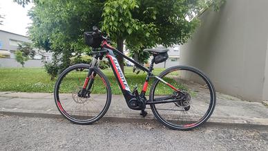 bici  assistita 