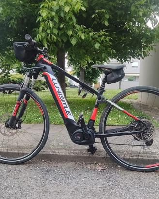 bici  assistita 