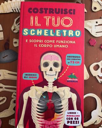 Costruisci il tuo scheletro