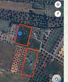 Terreno in agro di Francavilla Fontana