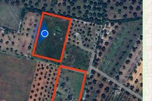 Terreno in agro di Francavilla Fontana