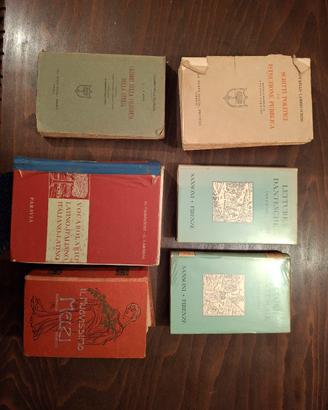 vecchi libri scolastici e dizionari