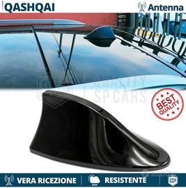 antenna Pinna x auto