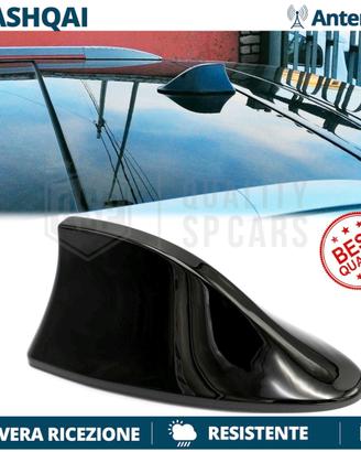 antenna Pinna x auto