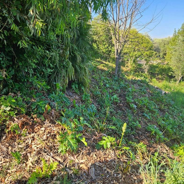 Terreno di 1226 m² a Fiumicino - Vista 2