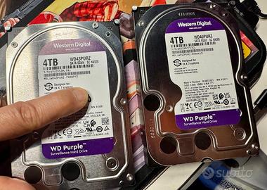 Hard disk Hdd WD Purple 4TB coppia SATA