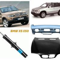 bmw X5 musata cofano parafango freni cerchi E53