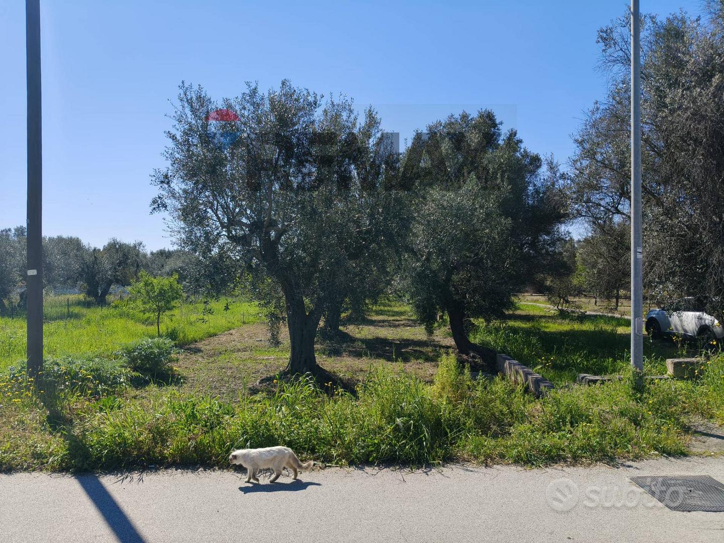 Terreno - Monteparano - Vista 4