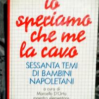 Libro "Io speriamo che me la cavo"