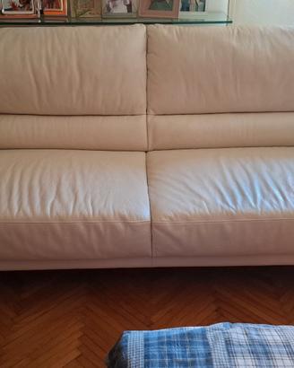 Due divani in pelle By Natuzzi