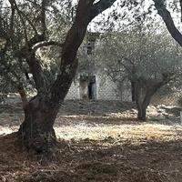 Casa in costruzione + terreno di mq 1000