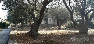 Casa in costruzione + terreno di mq 1000