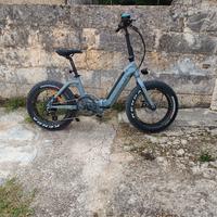 bici pedalata assistita 