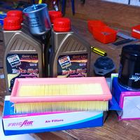 tagliando completo panda 1000 fire