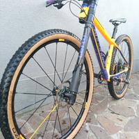MTB Cannondale FSI