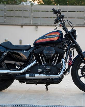 Iron 1200 club style