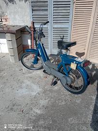 ciclo