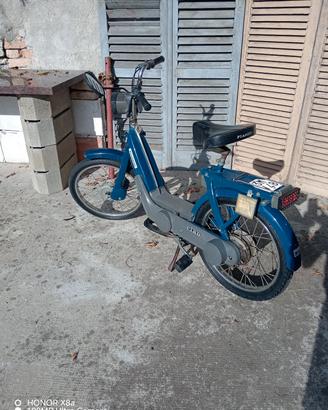 ciclo