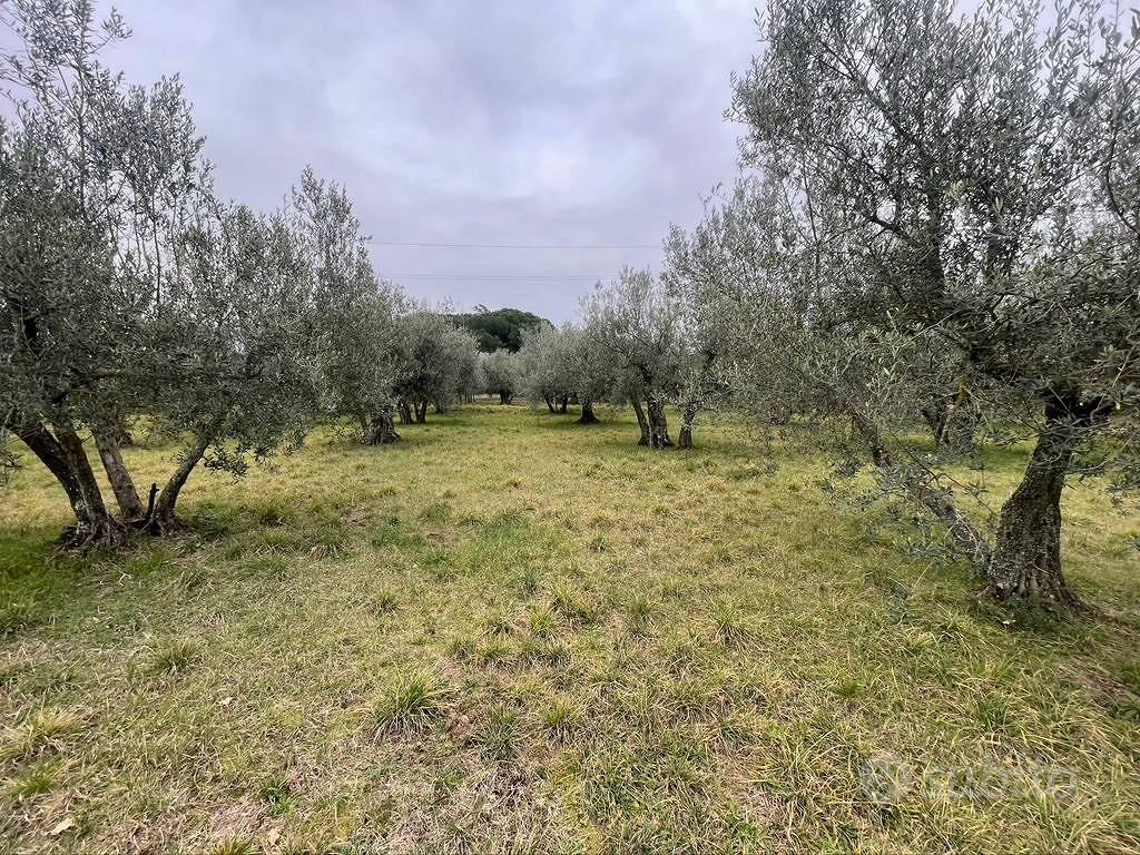 Terreno di 5000 m² a Viterbo - Vista 5