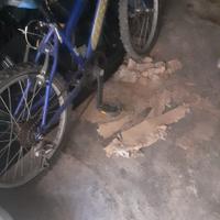 biciclette  bimbo 
