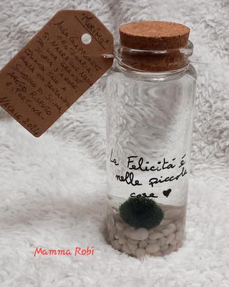 Alga  " Marìmo "