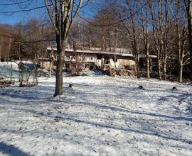 Grande terreno e baita