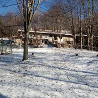 Grande terreno e baita, Ricerco contatto "Roberta"