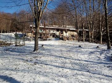 Grande terreno e baita