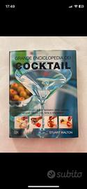 Libro cocktail