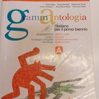 GrammAntologia A ISBN: 9788842403685
