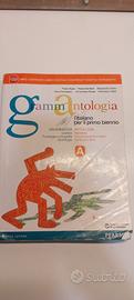 GrammAntologia A ISBN: 9788842403685